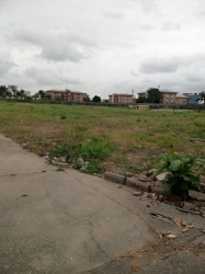 Image 1 Title
