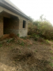 Image 1 Title