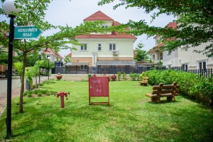 Image 1 Title