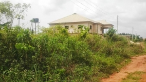 Lands For Sale And Rooms To Let In Esan West, Ekpoma, Edo State. Land for Sale Esan West Edo Vetra  Property