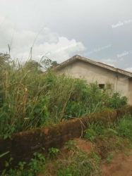 Image 1 Title
