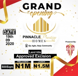 Pinnacle Prestige Homes Land for Sale Ibeju Lekki Lagos Vetra  Property