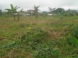 One Full Plot Of Land At Orimerunmu 1 Plot of Land for Sale Obafemi Owode Ogun Vetra  Property