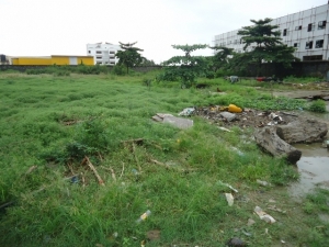 Image 1 Title