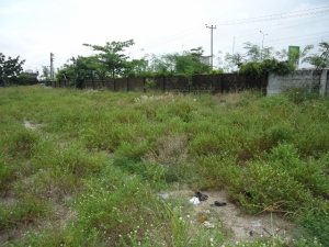 Image 1 Title