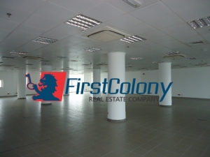 Image 1 Title