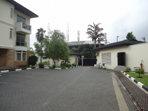 Image 1 Title