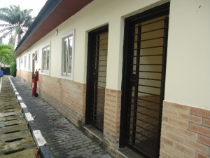 Image 1 Title