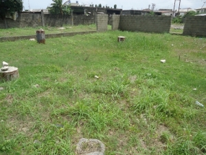 Image 1 Title