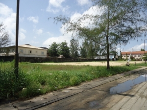 Image 1 Title