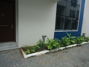 Image 1 Title