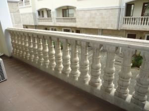 Image 1 Title