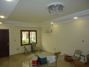 Image 1 Title