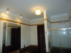 Image 1 Title
