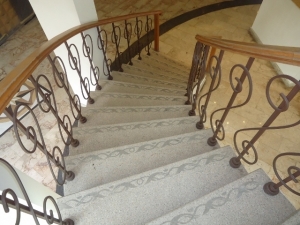 Image 1 Title