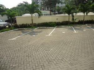 Image 1 Title