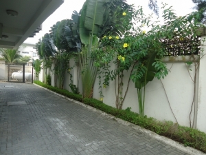 Image 1 Title