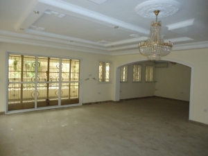 Image 1 Title
