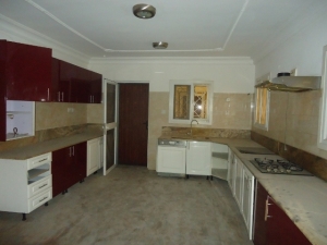 Image 1 Title