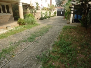 Image 1 Title