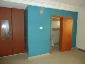 Image 1 Title