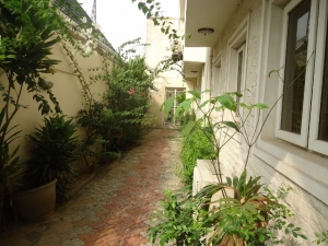Image 1 Title