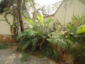Image 1 Title