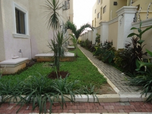 Image 1 Title