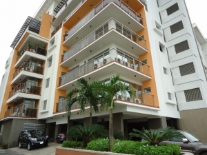 Fully Serviced 2 Bedroom Apartment With State-of-the-art Facilities  2 bedroom Flat for Sale Ikoyi Lagos Vetra  Property