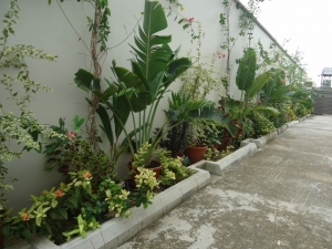 Image 1 Title