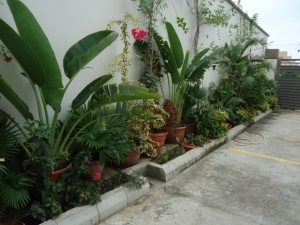 Image 1 Title