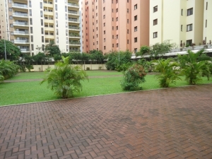 Image 1 Title