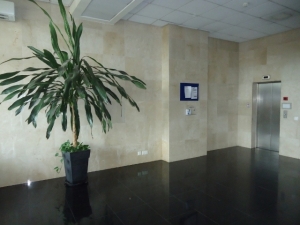 Image 1 Title