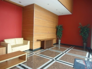 Image 1 Title