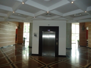 Image 1 Title