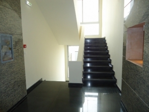 Image 1 Title