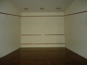 Image 1 Title