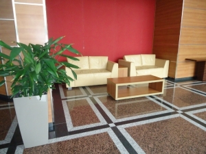 Image 1 Title