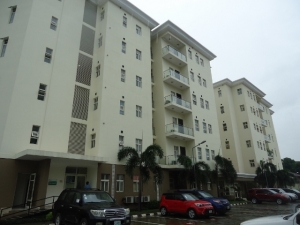 Image 1 Title