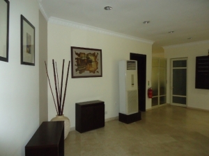 Image 1 Title