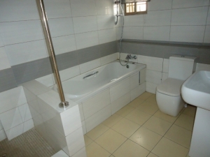 Image 1 Title