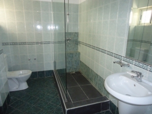 Image 1 Title