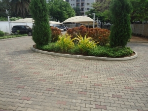 Image 1 Title