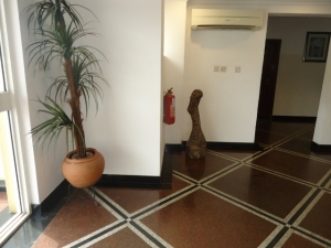 Image 1 Title