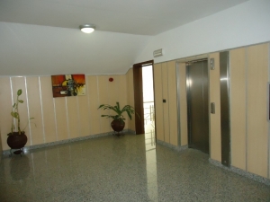Image 1 Title