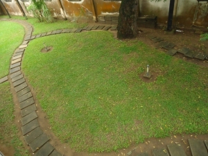 Image 1 Title