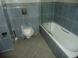 Image 1 Title