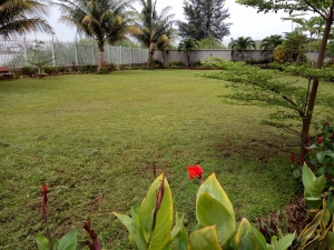 Image 1 Title