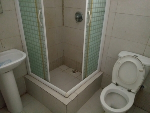 Image 1 Title