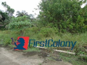 Image 1 Title